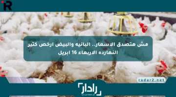 مش هتصدق الأسعار.. البانية والبيض أرخص كتير النهارده الأربعاء 16 إبريل